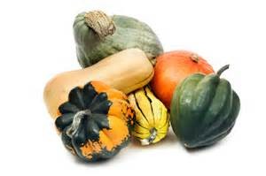 squash family